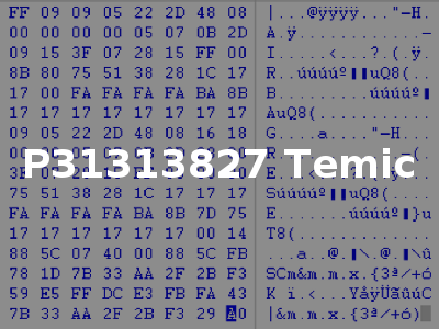 P31313827 Temic
