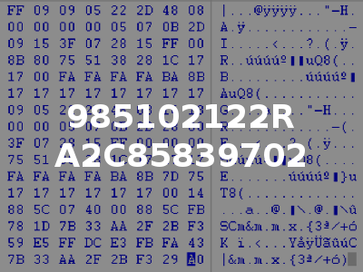 985102122R A2C85839702