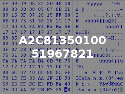 A2C81350100 51967821