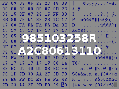 985103258R A2C80613110
