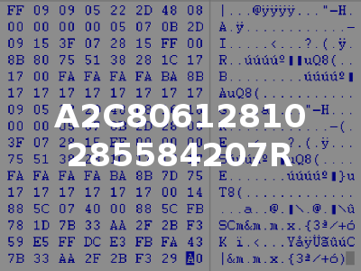 A2C80612810 285584207R