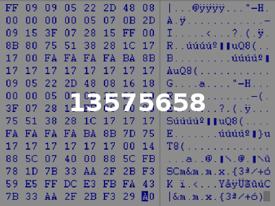 13575658