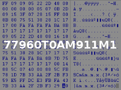 77960T0AM911M1
