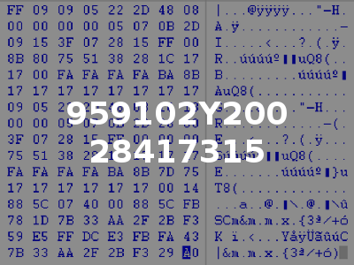 959102Y200 28417315