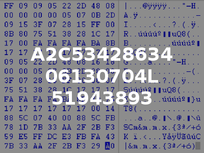 A2C53428634 06130704L 51943893