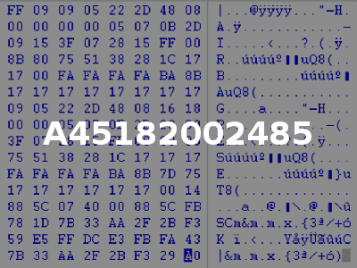 A45182002485