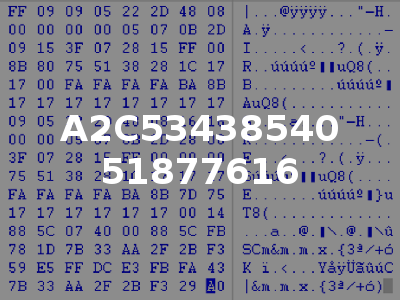 A2C53438540 51877616