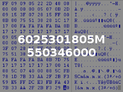 6025301805M 550346000