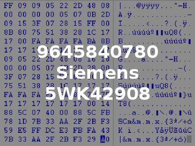 9645840780 Siemens 5WK42908