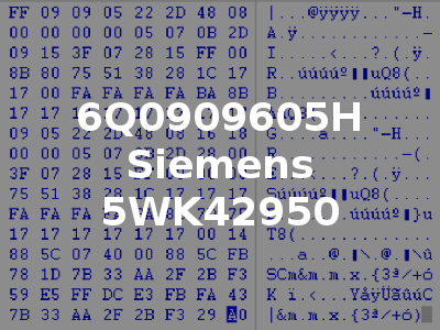 6Q0909605H Siemens 5WK42950