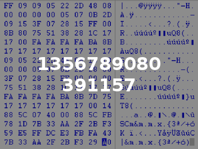 1356789080 391157