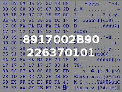 8917002B90 226370101