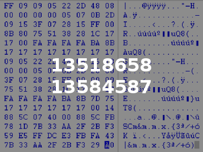 13518658 13584587
