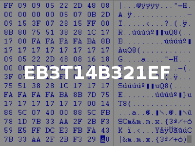 EB3T14B321EF