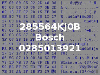 285564KJ0B Bosch 0285013921