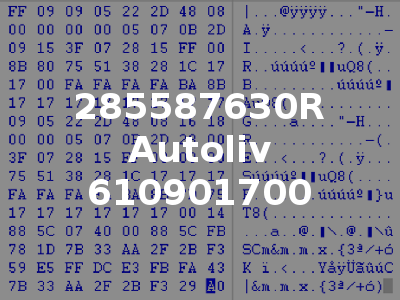 285587630R Autoliv 610901700