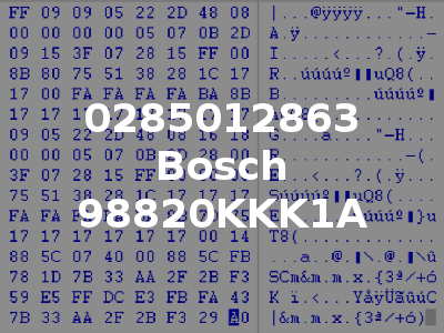 0285012863 Bosch 98820KKK1A