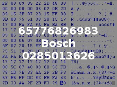 65776826983 Bosch 0285013626