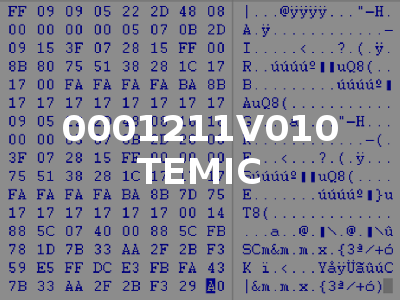 0001211V010 TEMIC