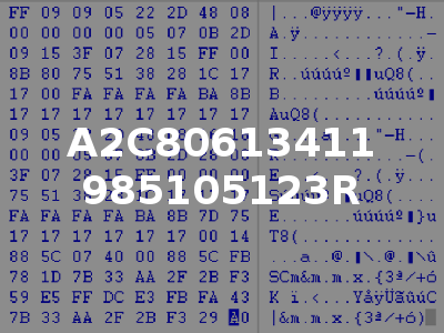 A2C80613411 985105123R