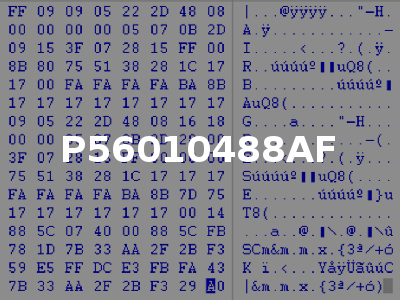 P56010488AF