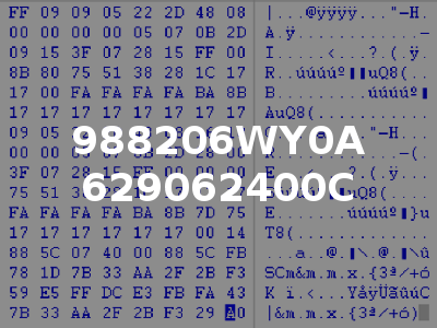 988206WY0A 629062400C