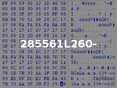 285561L260-