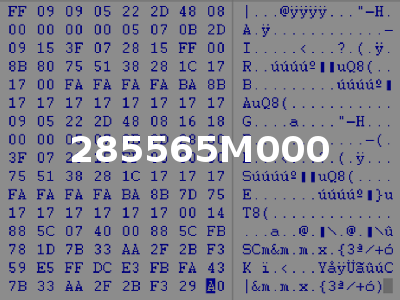 285565M000