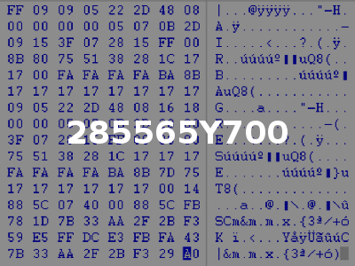 285565Y700