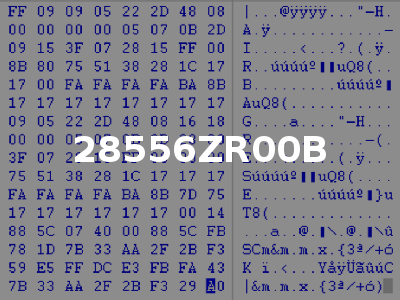 28556ZR00B