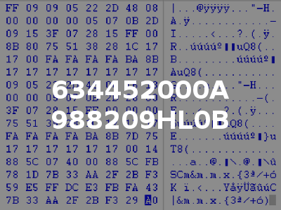 634452000A 988209HL0B