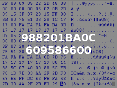 988201BA0C 609586600