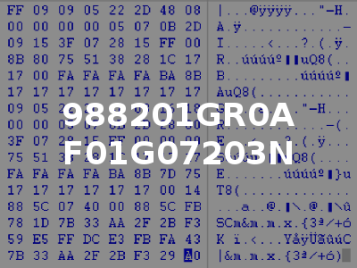 988201GR0A F01G07203N