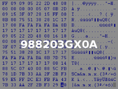 988203GX0A