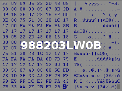 988203LW0B