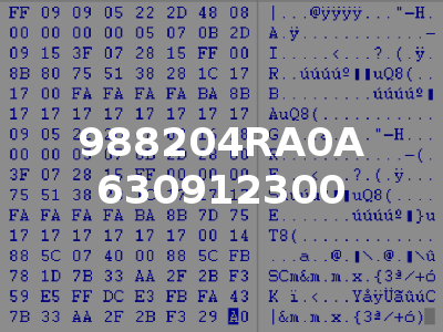 988204RA0A 630912300