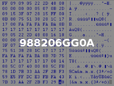 988206GG0A