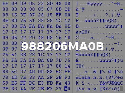 988206MA0B