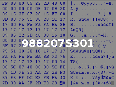 988207S301