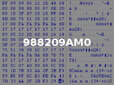 988209AM0