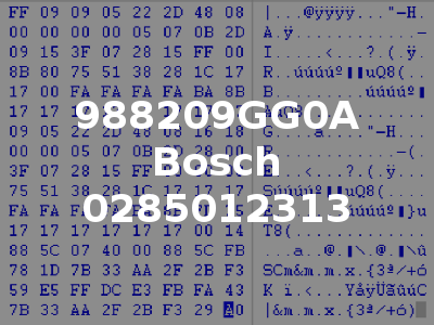 988209GG0A Bosch 0285012313