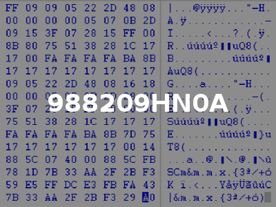 988209HN0A