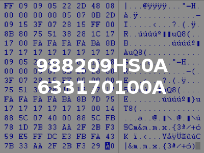 988209HS0A 633170100A