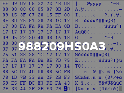 988209HS0A3