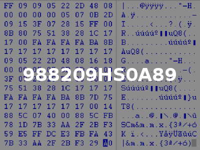 988209HS0A89