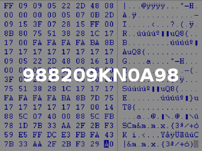 988209KN0A98