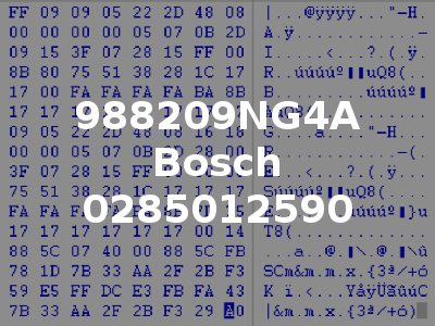 988209NG4A Bosch 0285012590