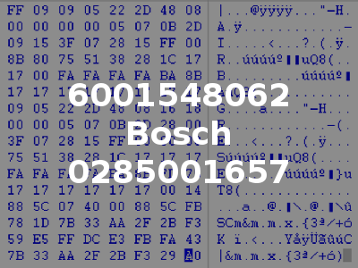 6001548062 Bosch 0285001657
