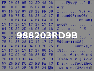 988203RD9B