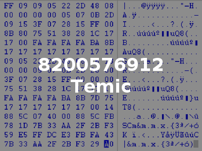 8200576912 Temic